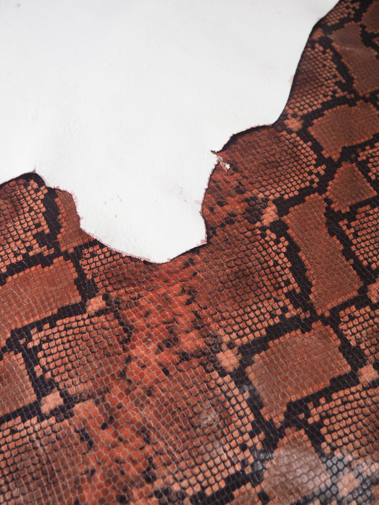 Auburn Embossed Python Calfskin Leather