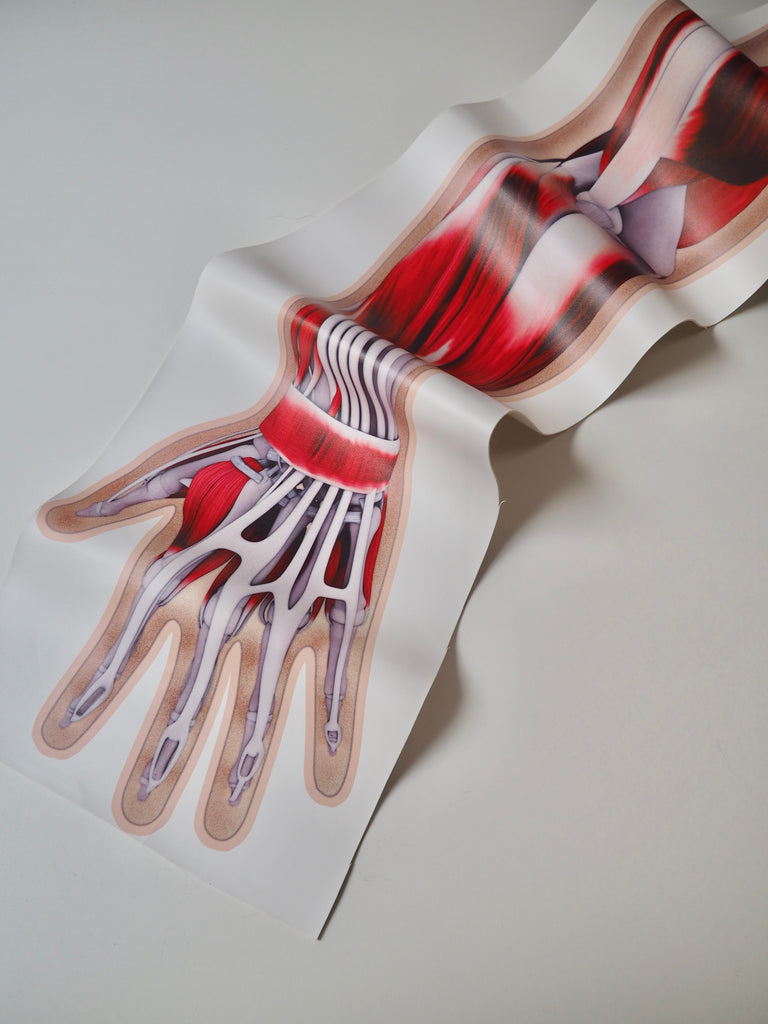 Arm Muscle Printed Panel