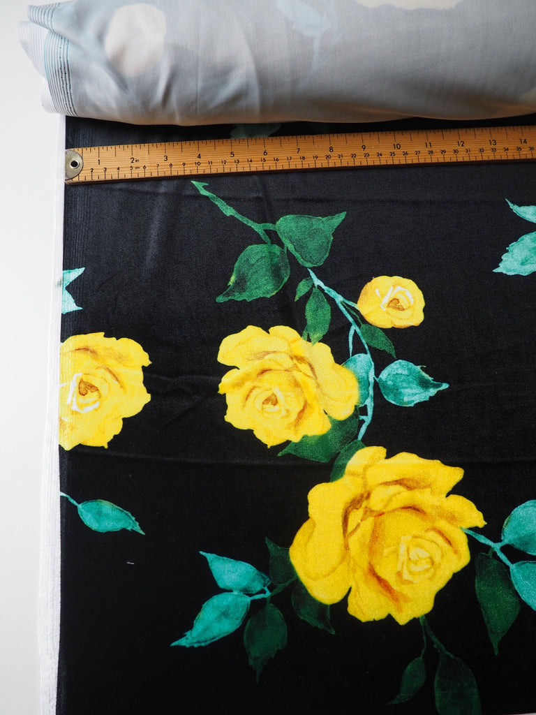 Yellow Rose Velour