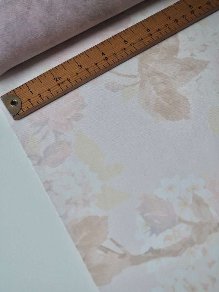 Pale Pink Rose Chiffon
