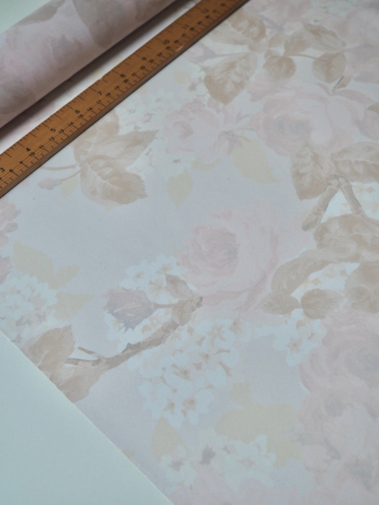 Pale Pink Rose Chiffon