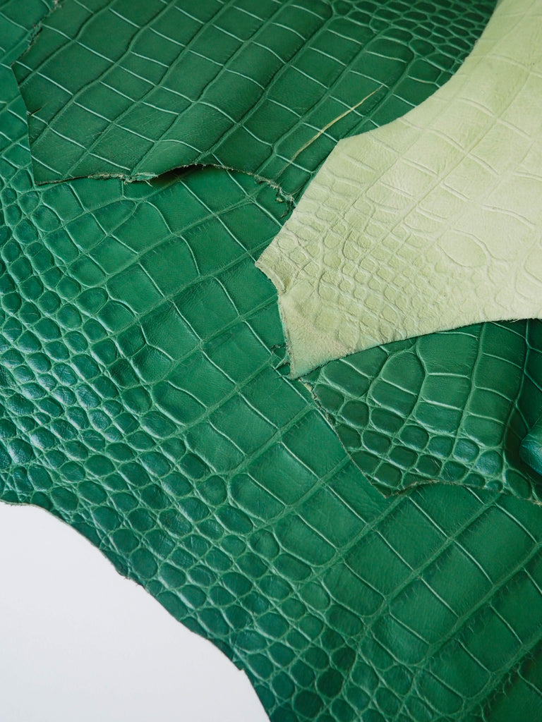 Green Embossed Crocodile Calfskin