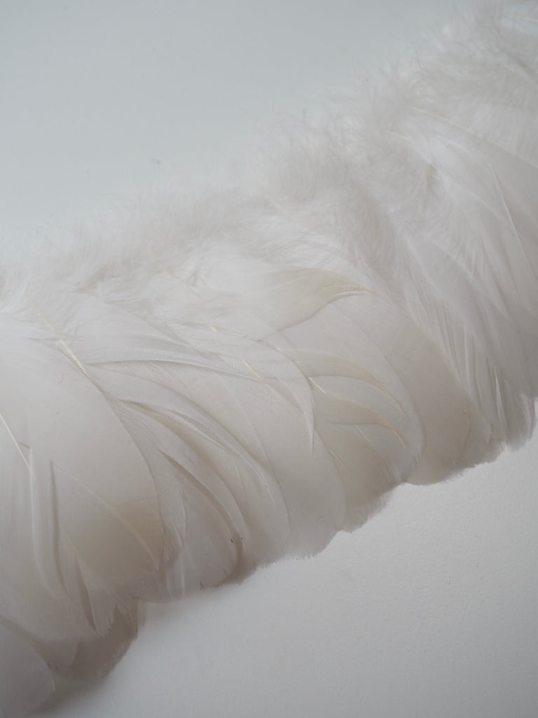 White Goose Feather Fringing