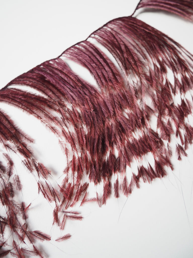 Merlot Trimmed Ostrich Feather Fringing