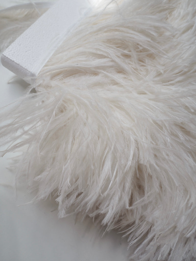 Ivory Ostrich Feather Fringing + Satin Ribbon