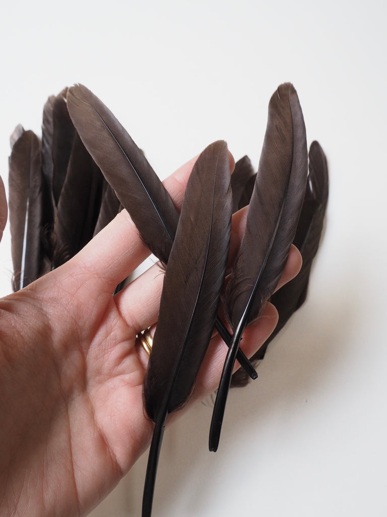 Brown Turkey Quill Feathers - 20 pieces