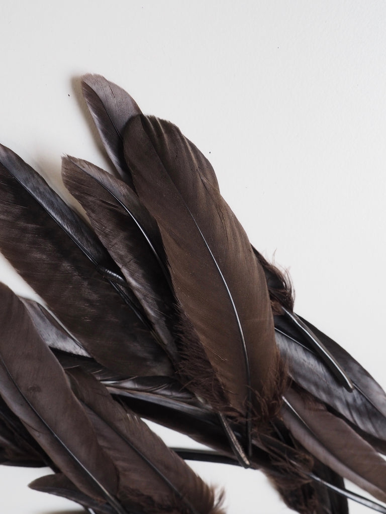 Brown Turkey Quill Feathers - 20 pieces