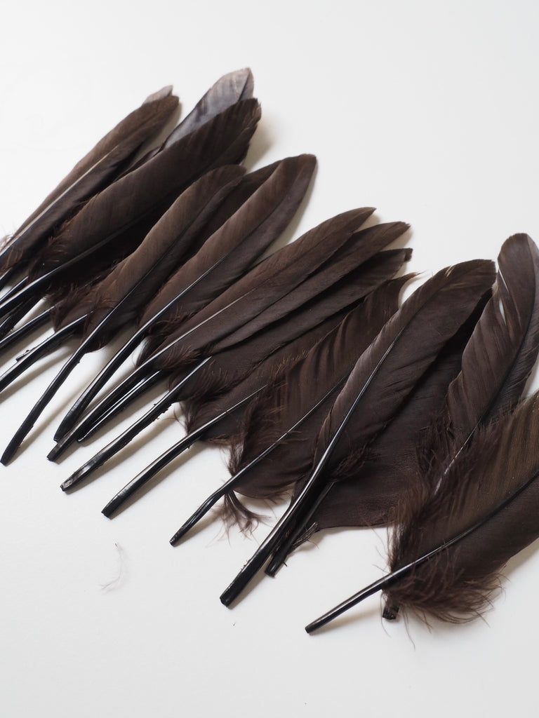 Brown Turkey Quill Feathers - 20 pieces