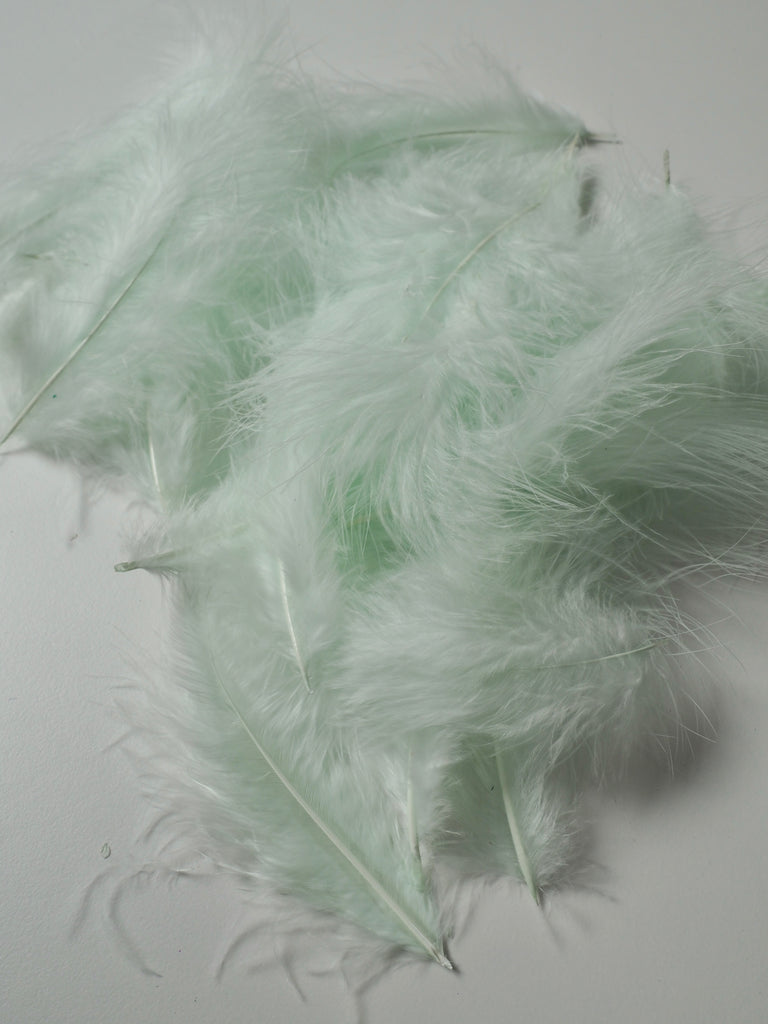 Mint Turkey Coquille Feathers - 20 pieces