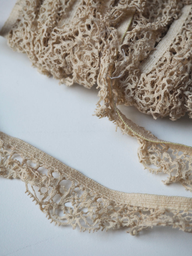 Scalloped Lace Elastic 2.5cm