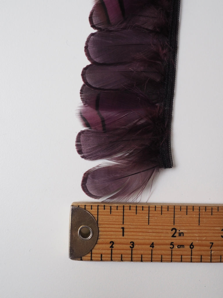 Plum Partridge Feather Fringing